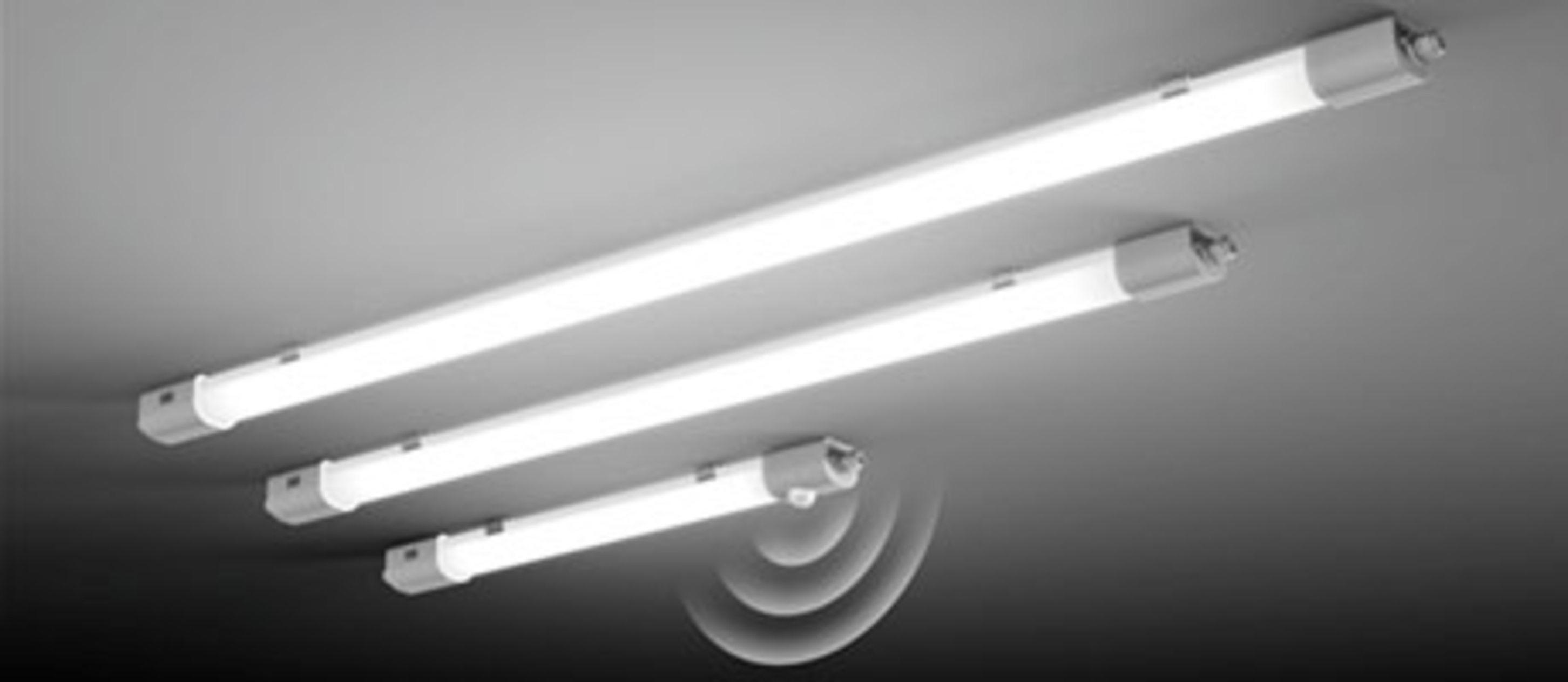 Planox Feuchtraumleuchten bei Elektrotechnik-Lauche in Kaiserpfalz OT Wohlmirstedt
